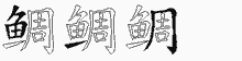 鲷字拆解