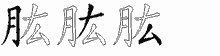 肱字拆解