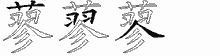 蓼字拆解