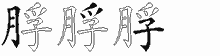 脬字拆解
