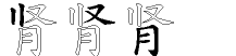 肾字拆解