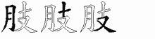 肢字拆解