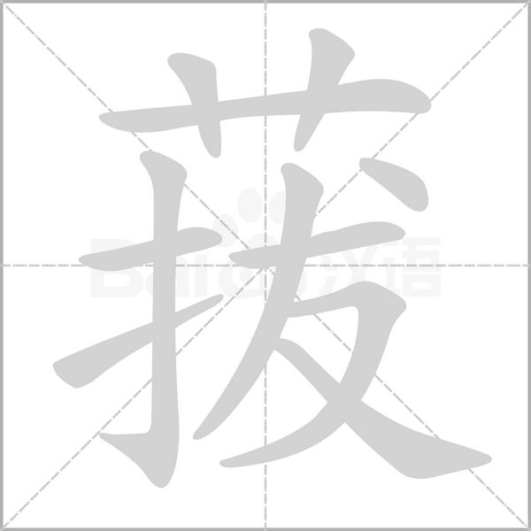 菝字