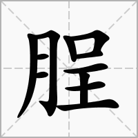 脭字