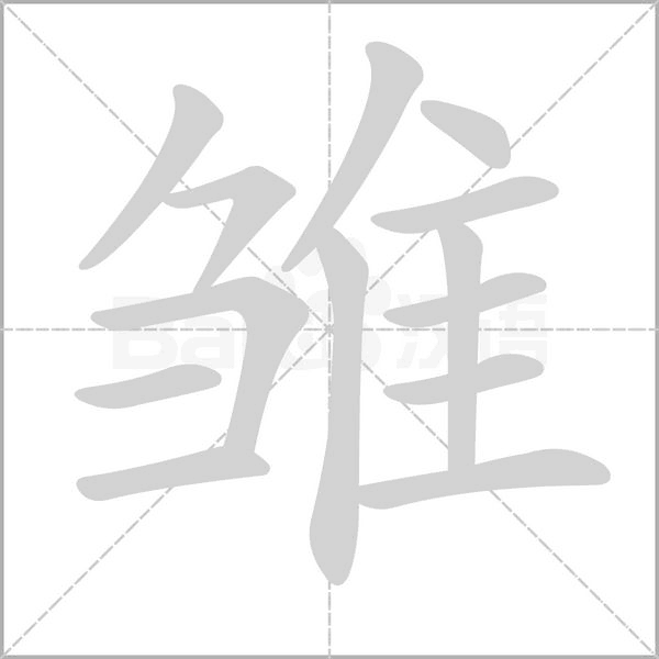 雏字
