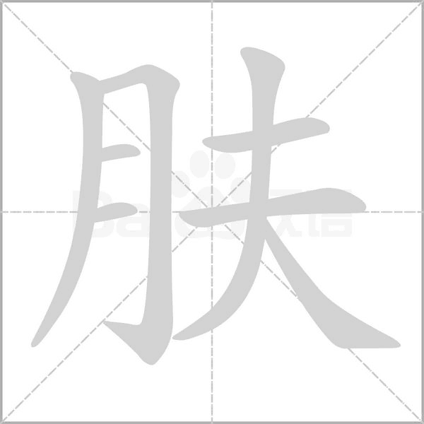 肤字
