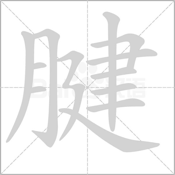 腱字