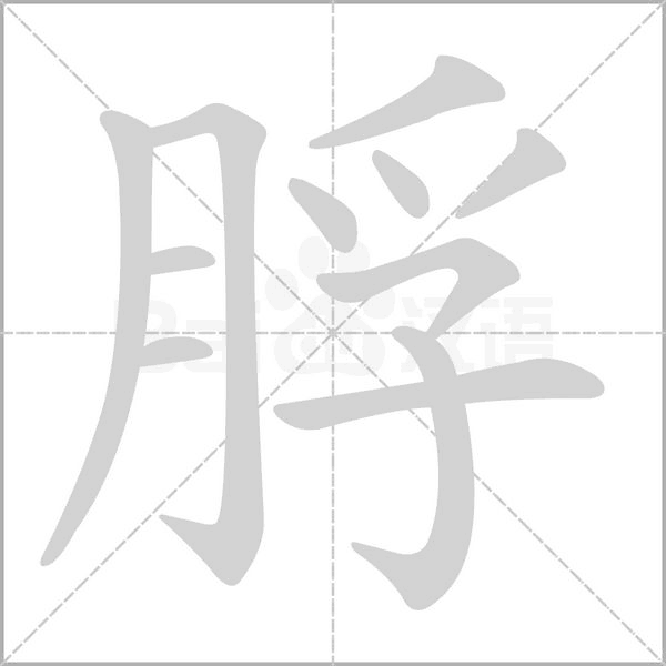 脬字