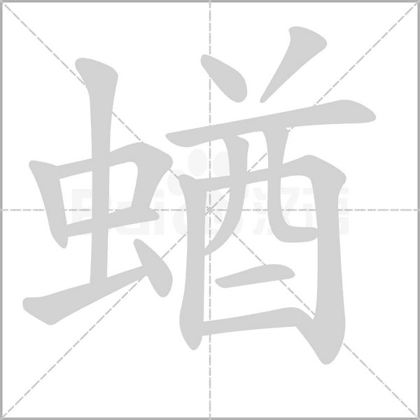 蝤字