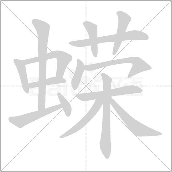 蝾字