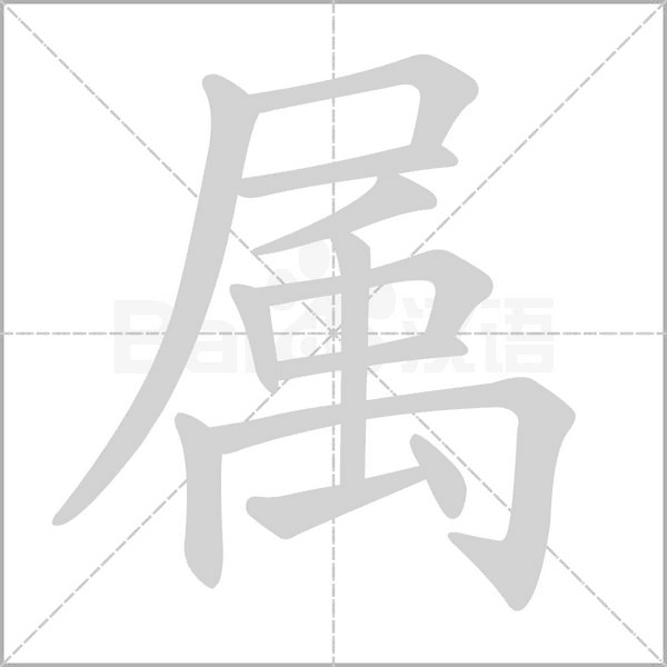 属字