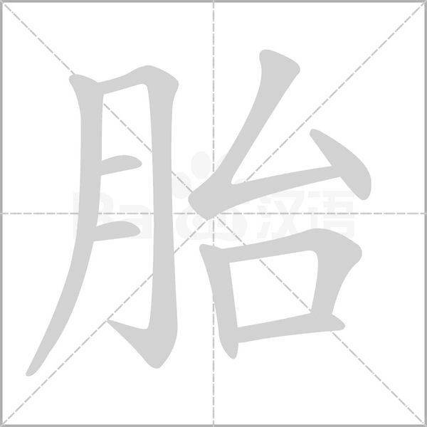 胎字