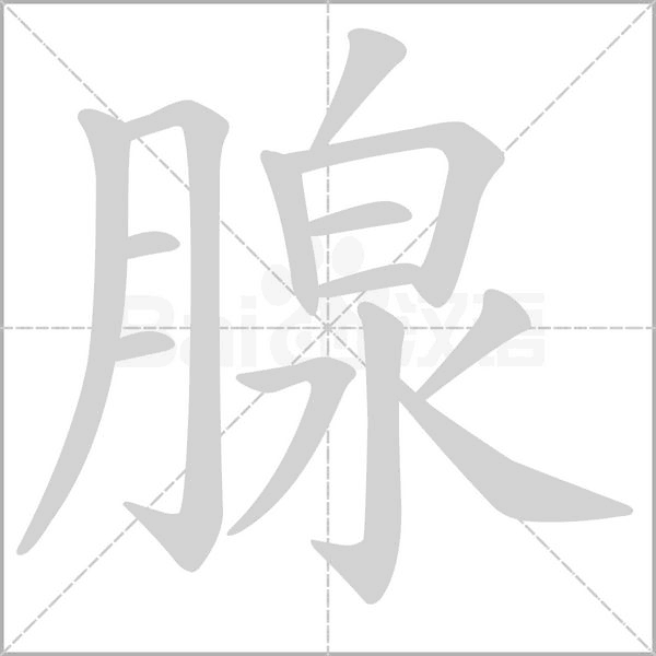 腺字