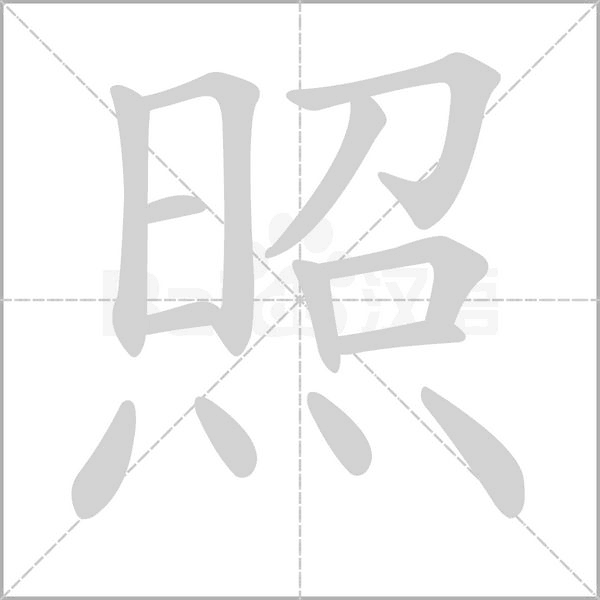 照字