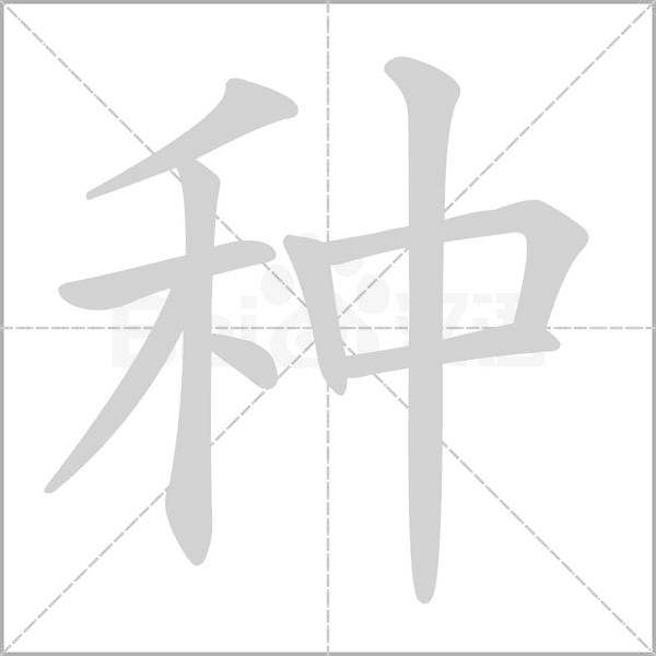 种字